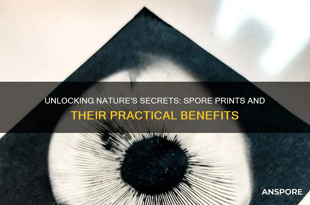 how are spore prints beneficial to us