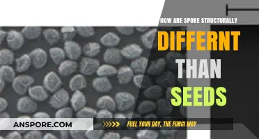 Structural Differences Between Spores and Seeds: A Comparative Analysis