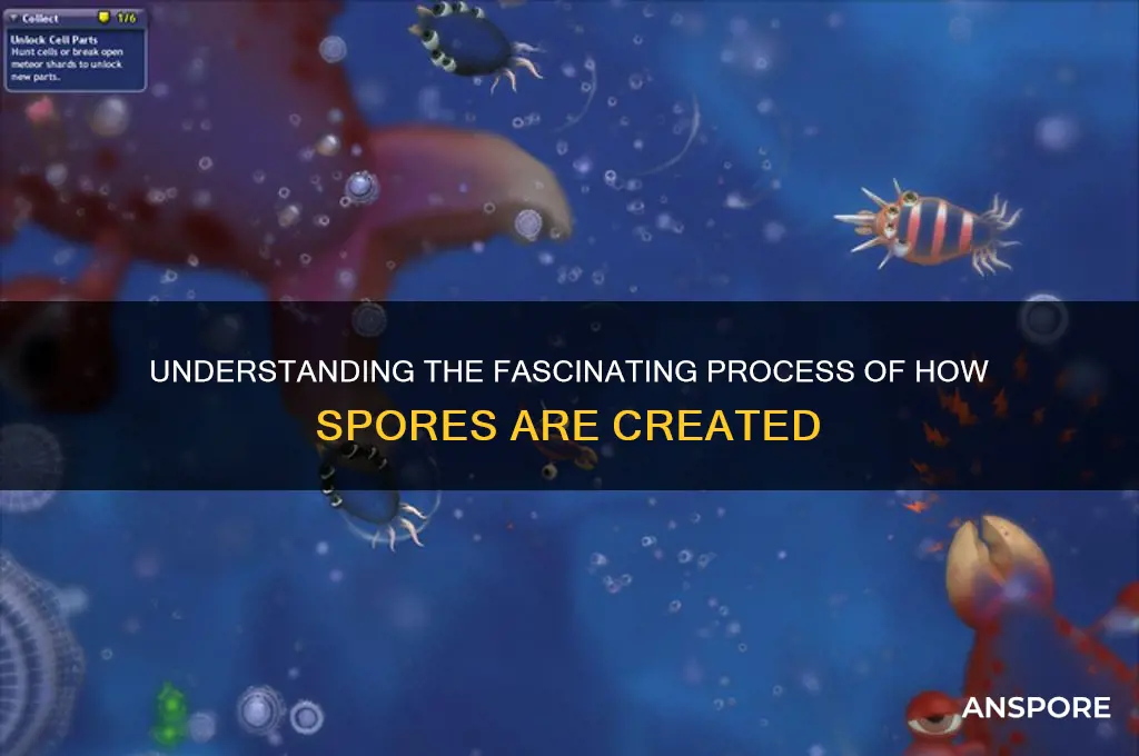 how are spored created