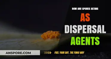 Spores: Nature's Ingenious Dispersal Agents for Plant and Fungal Survival