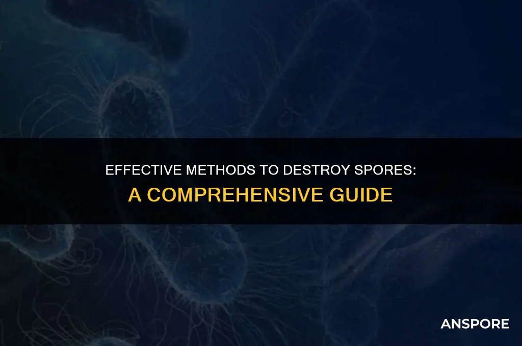 how are spores destroyed