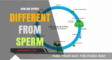 Spores vs. Sperm: Unraveling the Unique Reproductive Strategies of Life