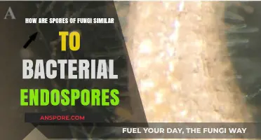 Fungal Spores vs. Bacterial Endospores: Striking Similarities in Survival Strategies