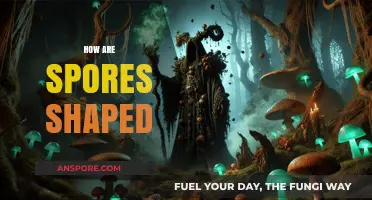 Exploring the Intricate Shapes of Spores: Nature's Tiny Masterpieces