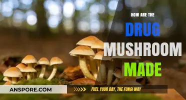 Magic Mushrooms: How Are They Made?