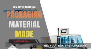 Mushroom Packaging: Sustainable Material from Mycelium