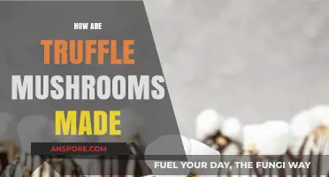 The Magic of Truffle Mushrooms: A Culinary Adventure