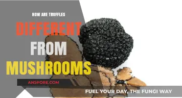 Truffles vs Mushrooms: What's the Difference?