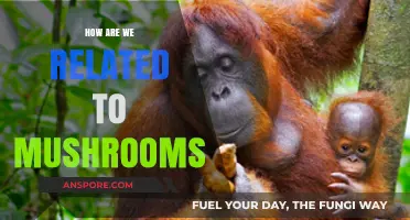 Mushrooms: Our Ancient, Distant Cousins