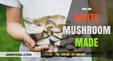 The Magic Behind White Mushroom Creation