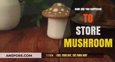 The Best Way to Store Mushrooms at Home