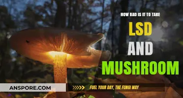 LSD and Mushrooms: Unraveling the Risks of Combining Hallucinogens