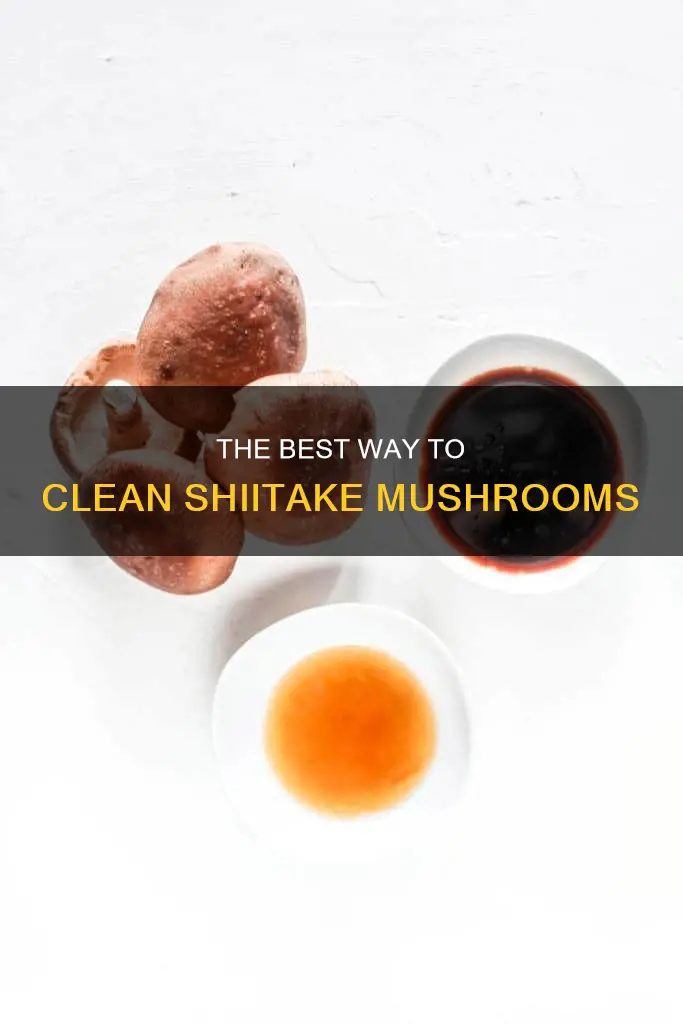 how best to clean shiitake mushrooms