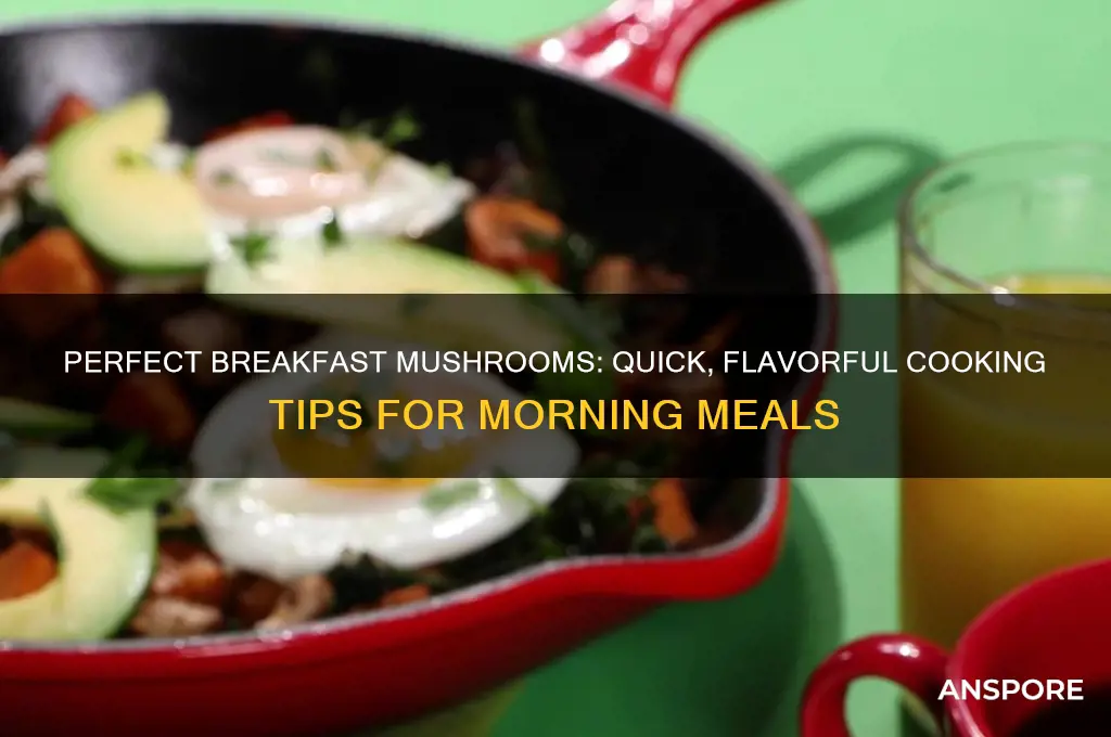 how best to cook mushrooms for breakfast