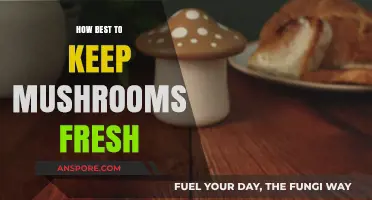 Keep Mushrooms Fresh: The Best Storage Methods