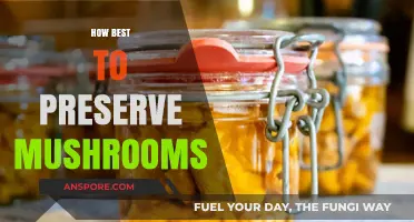 Preserving Mushrooms: Best Practices for Longevity