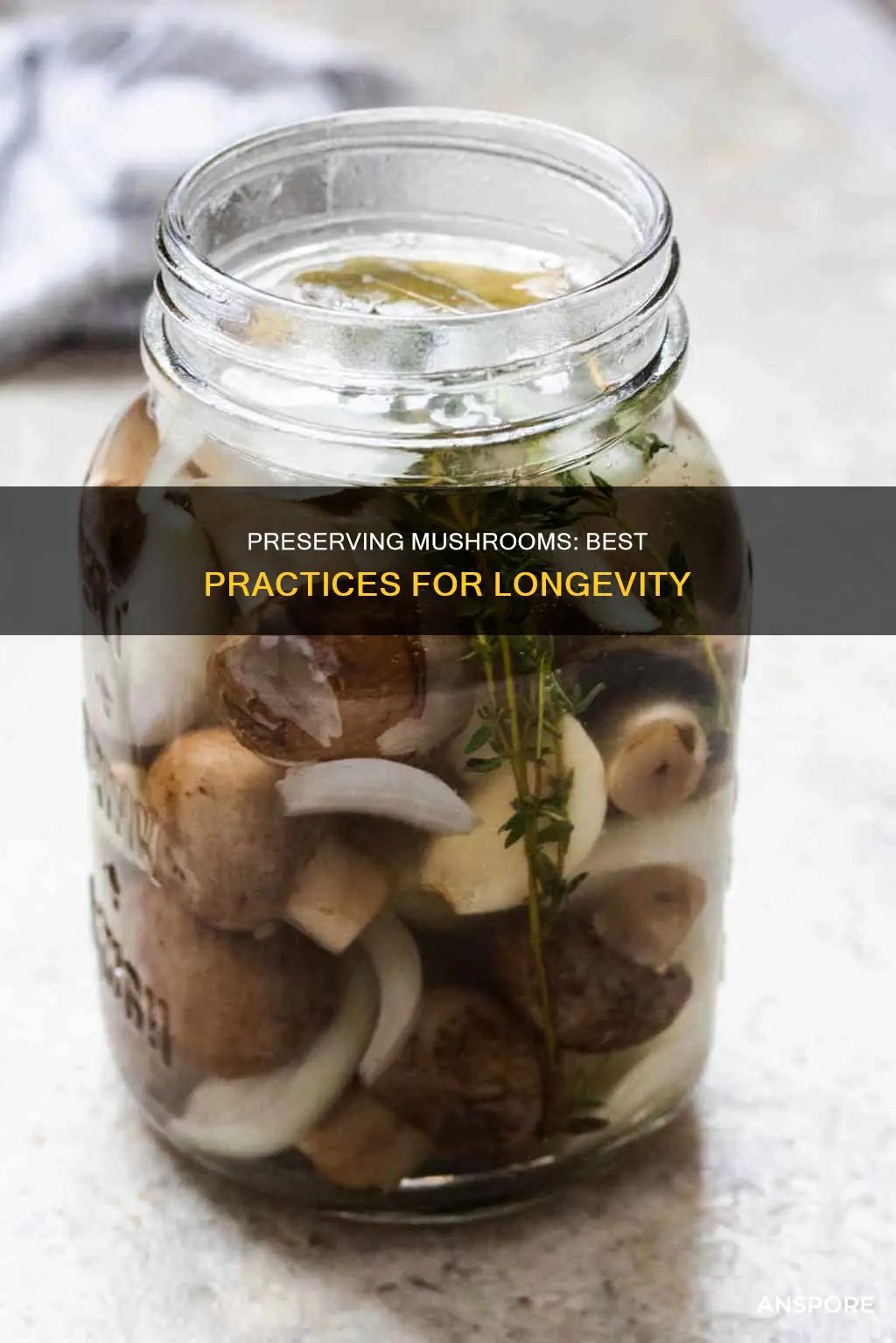 how best to preserve mushrooms