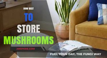 Keep Mushrooms Fresh: Best Storage Practices