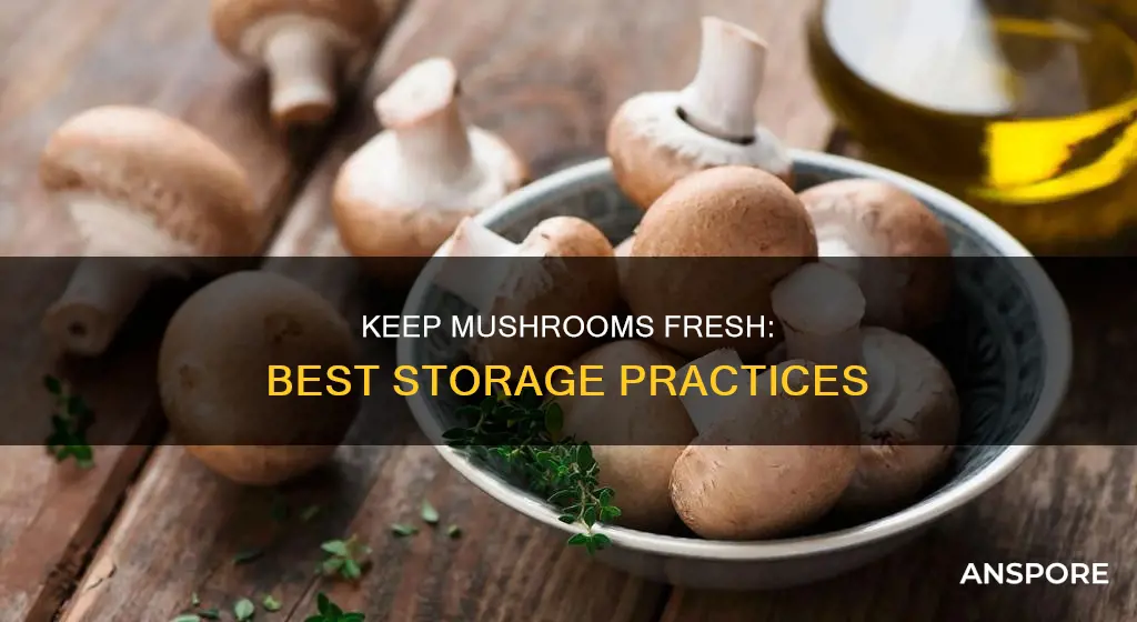 how best to store mushrooms