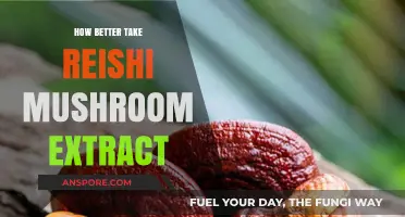 Reishi Mushroom Extract: The Best Ways to Consume