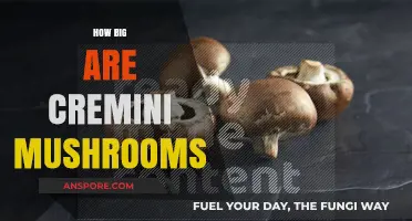 Cremini Mushrooms: Size and Culinary Uses
