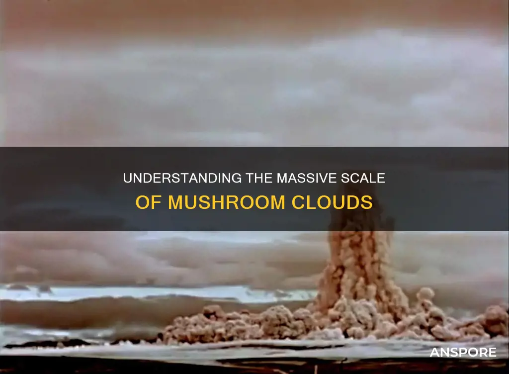 how big are mushroom clouds