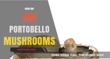 Exploring the Size of Portobello Mushrooms: A Comprehensive Guide