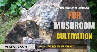 Mushroom Cultivation: Straw Log Size Matters
