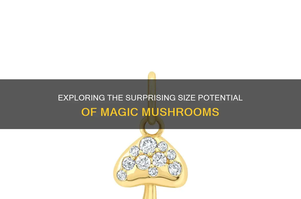 how big can magic mushrooms get