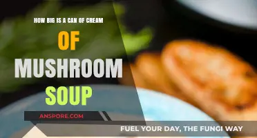 Cream of Mushroom Soup Can Size: A Comprehensive Guide
