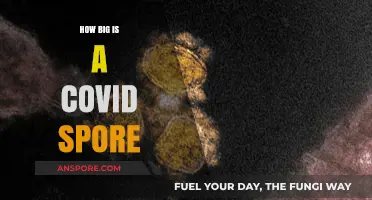 Unveiling the Microscopic Mystery: COVID-19 Spore Size Explained