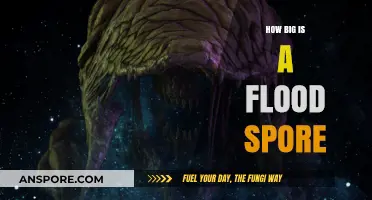 Understanding the Size of Flood Spores: A Comprehensive Guide
