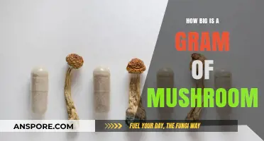 Understanding the Size and Weight of Magic Mushrooms