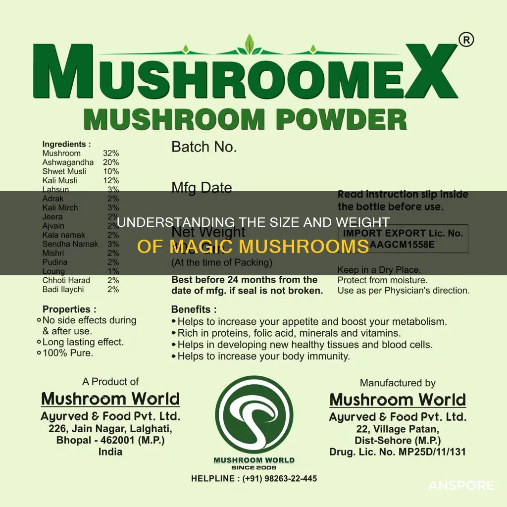 how big is a gram of mushrooms