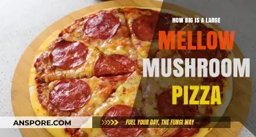 Mellow Mushroom Pizza: How Big Is Big?
