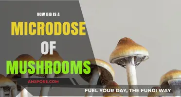 Microdosing Mushrooms: How Much Is Too Much?