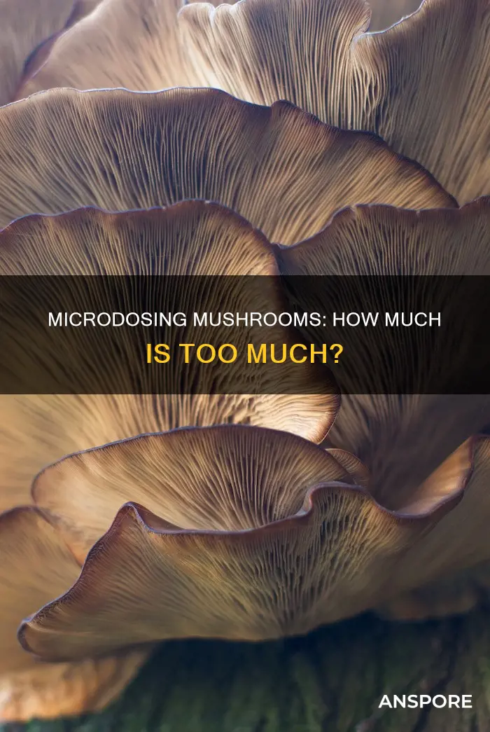 how big is a microdose of mushrooms