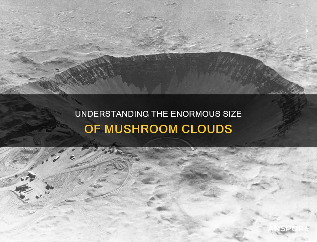 how big is a mushroom cloud