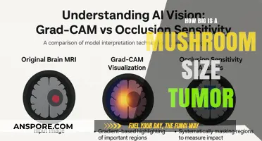 Mushroom Tumor Size: Understanding the Growth and Danger