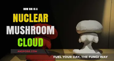 The Height of Nuclear Mushroom Clouds