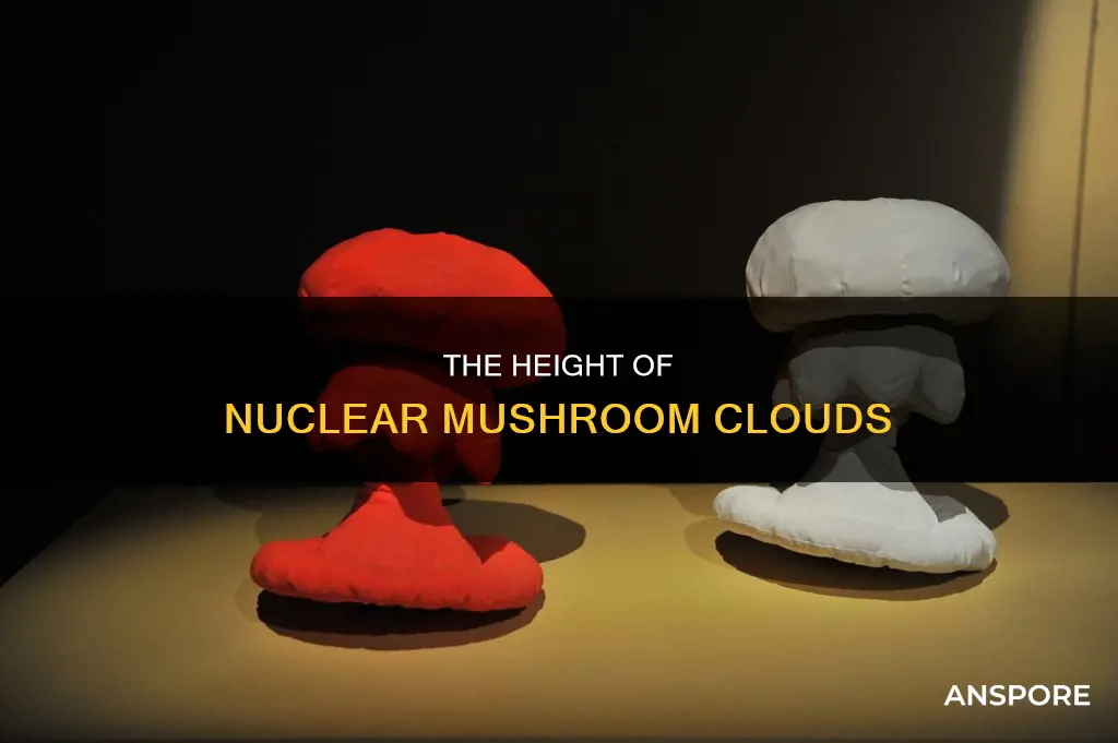 how big is a nuclear mushroom cloud