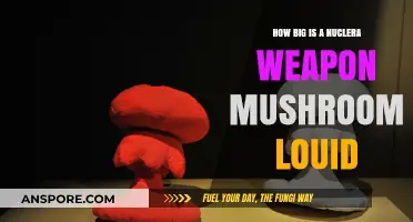 The Colossal Cloud of Nuclear Explosions