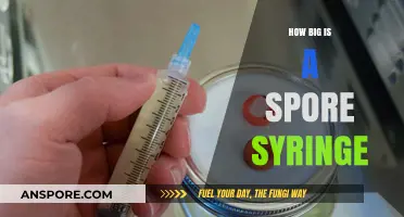 Understanding Spore Syringe Size: A Comprehensive Guide for Beginners
