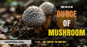 Mushroom Portion Control: Ounce of Shrooms