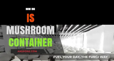 Mushroom Container Sizing: What's the Right Size?