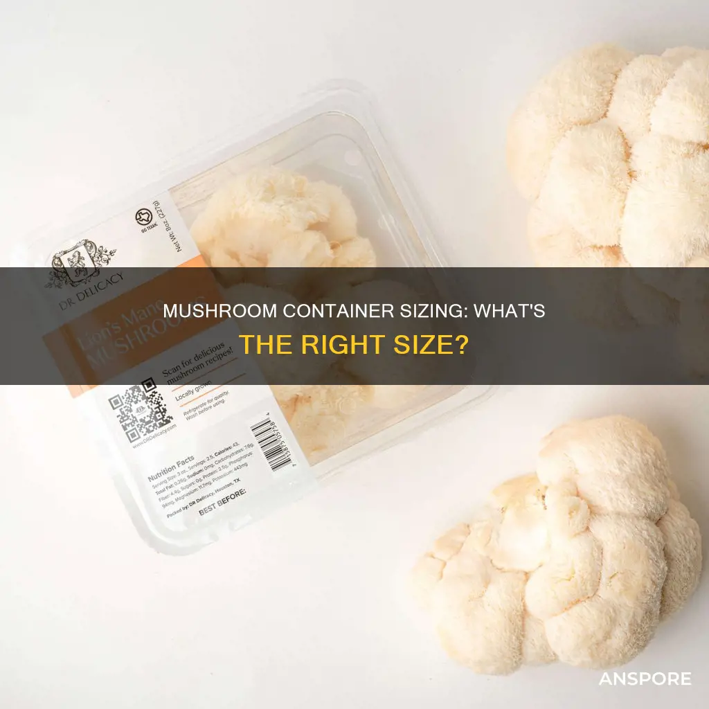 how big is mushroom container