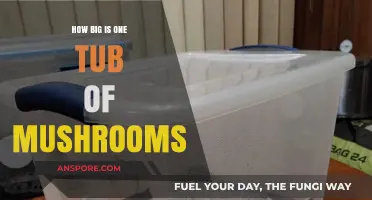 Mushroom Tub Sizes: How Much Do They Hold?