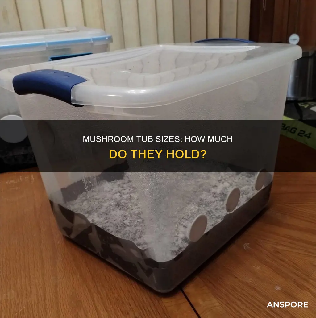 how big is one tub of mushrooms