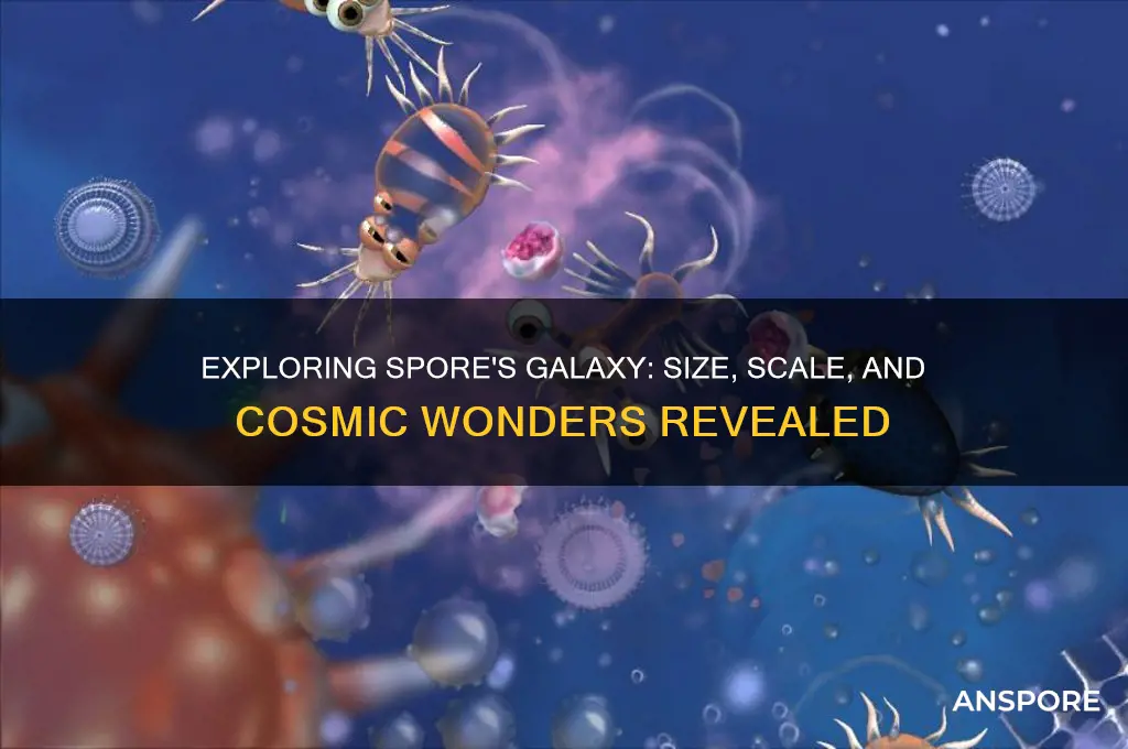 how big is spore