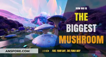 Giant Mushrooms: Nature's Majestic Fungi